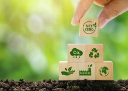 SRCA GREEN Consultancy