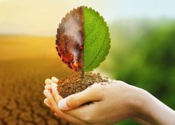 SRCA Green finance advisory