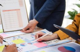 Professional business plan writing service -SRCA