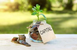 Capital & Fundraising-SRCA Advisory