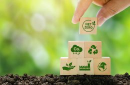 SRCA GREEN Consultancy